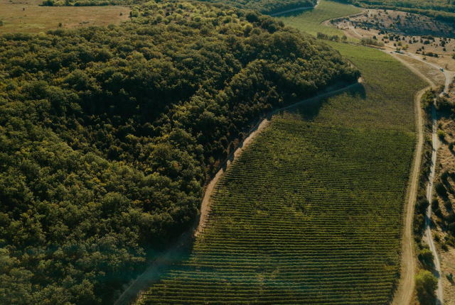 Винодельня Павла Швеца UPPA Winery