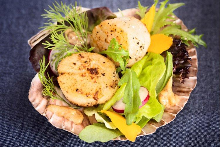 10 cалатов с морскими гребешками, которые очень просто готовятся
