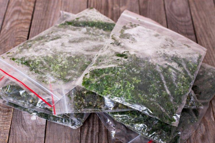 Как заморозить укроп на зиму: 10 самых легких и быстрых рецептов